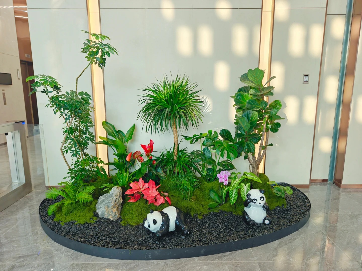 专业绿植租赁服务，宁波鄞州的绿色之选